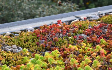 the cost of Altamullan green roof installation