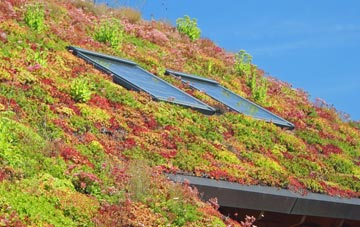 Altamullan living roof systems