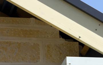 soffit repair Altamullan