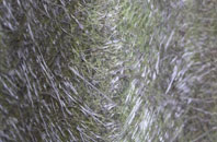 Altamullan fibreglass roof work