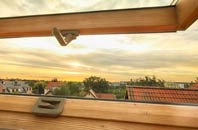 rated Altamullan roof window companies